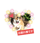 コーギー犬メルのスタンプ第二段（個別スタンプ：17）