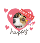 コーギー犬メルのスタンプ第二段（個別スタンプ：19）