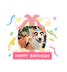コーギー犬メルのスタンプ第二段（個別スタンプ：20）