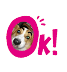 コーギー犬メルのスタンプ第二段（個別スタンプ：22）