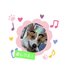 コーギー犬メルのスタンプ第二段（個別スタンプ：39）