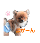 めちゃくちゃ可愛い蒼汰のスタンプ2（個別スタンプ：28）
