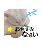 世界一可愛いスタンプ爆誕した（個別スタンプ：2）