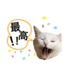 世界一可愛いスタンプ爆誕した（個別スタンプ：13）
