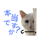 世界一可愛いスタンプ爆誕した（個別スタンプ：16）