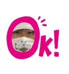 たとぅみと仲間たち①（個別スタンプ：1）