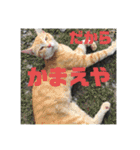 たとぅみと仲間たち①（個別スタンプ：23）