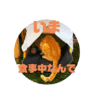 たとぅみと仲間たち①（個別スタンプ：24）