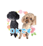 もこしょこファミリー（個別スタンプ：2）