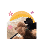 もこしょこファミリー（個別スタンプ：4）