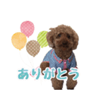 もこしょこファミリー（個別スタンプ：5）