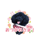もこしょこファミリー（個別スタンプ：7）