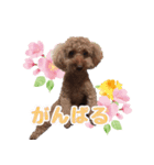 もこしょこファミリー（個別スタンプ：9）
