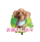 もこしょこファミリー（個別スタンプ：10）