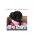 もこしょこファミリー（個別スタンプ：19）