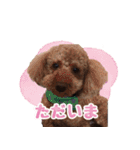 もこしょこファミリー（個別スタンプ：21）