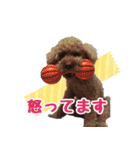 もこしょこファミリー（個別スタンプ：22）