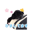 もこしょこファミリー（個別スタンプ：23）
