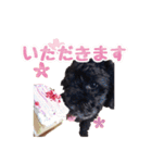 もこしょこファミリー（個別スタンプ：24）