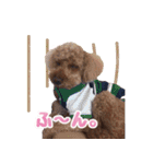 もこしょこファミリー（個別スタンプ：26）