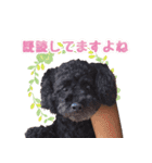もこしょこファミリー（個別スタンプ：27）