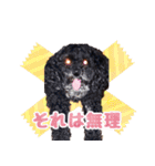 もこしょこファミリー（個別スタンプ：31）