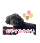 もこしょこファミリー（個別スタンプ：32）