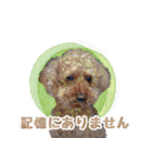 もこしょこファミリー（個別スタンプ：34）