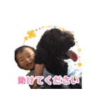 もこしょこファミリー（個別スタンプ：40）
