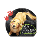 チョコあられ日和（個別スタンプ：1）