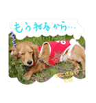 チョコあられ日和（個別スタンプ：6）