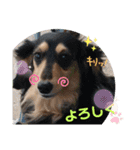 チョコあられ日和（個別スタンプ：7）