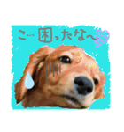 チョコあられ日和（個別スタンプ：9）