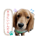 チョコあられ日和（個別スタンプ：12）