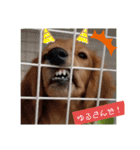 チョコあられ日和（個別スタンプ：14）