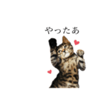 黒猫とキジトラ。with猫（個別スタンプ：13）