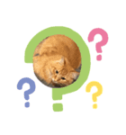 みにゃととかにゃい（個別スタンプ：6）