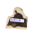 みにゃととかにゃい（個別スタンプ：8）