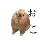 のんびりうさぎたちの日常（個別スタンプ：14）