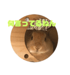 のんびりうさぎたちの日常（個別スタンプ：23）