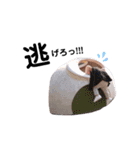 うたはる☺︎⋒（個別スタンプ：19）
