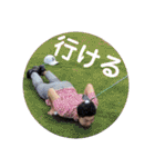 ちーみや2期 vol1（個別スタンプ：12）