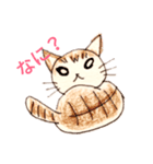 我が家のらくがき猫（個別スタンプ：5）