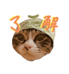 よしだ家のにゃんこたち（個別スタンプ：1）