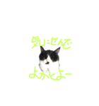 猫だってトークしたい（個別スタンプ：2）