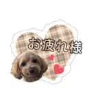 らぶりーもこスタンプ（個別スタンプ：6）