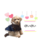 らぶりーもこスタンプ（個別スタンプ：7）
