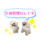 学校生活。（個別スタンプ：1）
