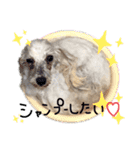 学校生活。（個別スタンプ：19）