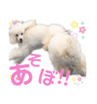 学校生活。（個別スタンプ：20）